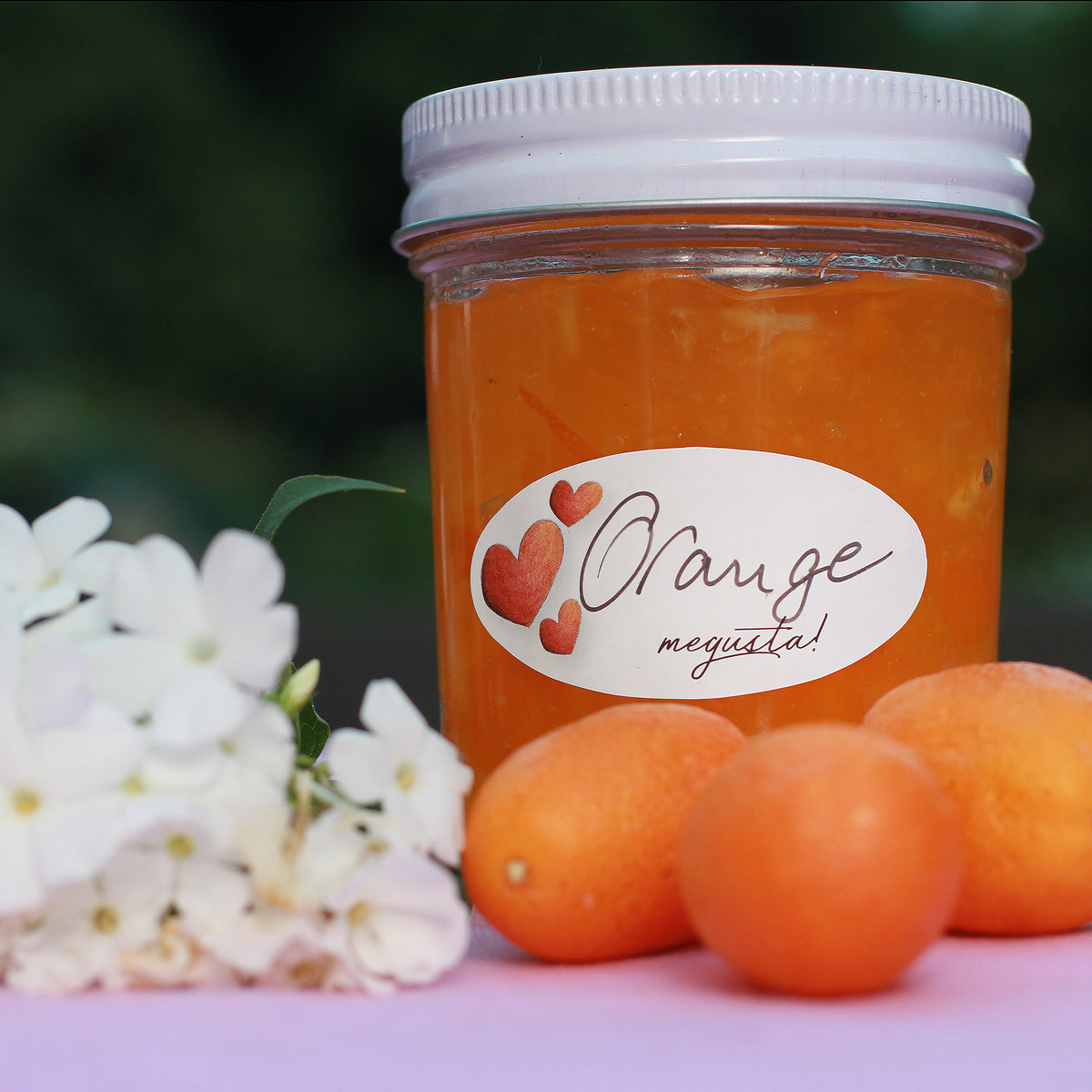 megusta!® 16 Einmachgläser klar | 200 ml | Deckel weiß | für Marmelade, Dessert, Kräuter, Tee
