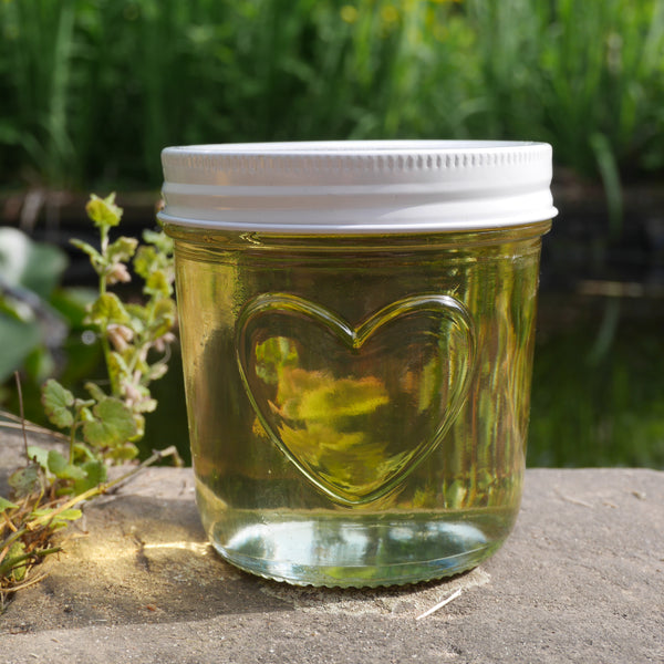 megusta!® 6 Einmachgläser mit Herz im Glas | 300 ml | weißer Deckel | für Marmelade, Chutney, Pesto, Süssigkeiten, Dessert, Suppen, Saucen