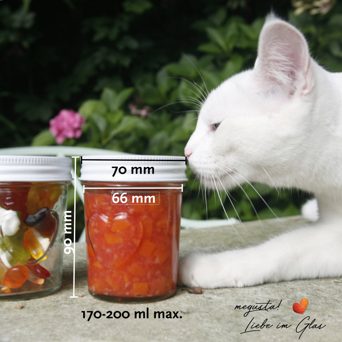 megusta!® 12 Einmachgläser mit Herz im Glas | Schraubdeckel weiß | für Hochzeit, Party, Geburtstag | für Marmelade, Dessert, Kräuter
